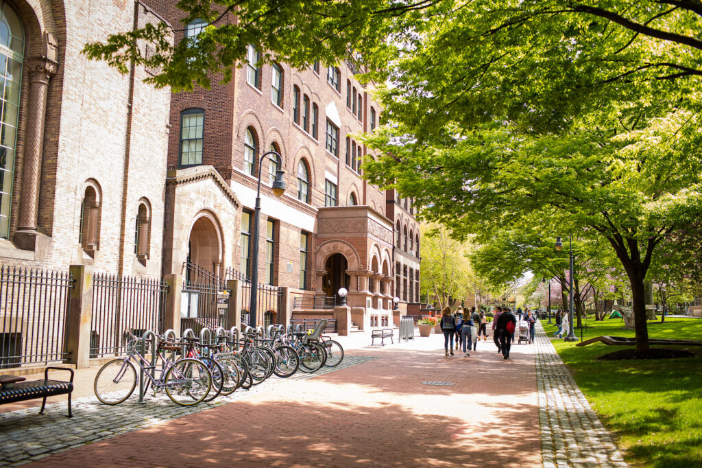 Pratt Institute Acceptance Rate, Tuition, Ranking, Scholarships, Programs, Address, Fees